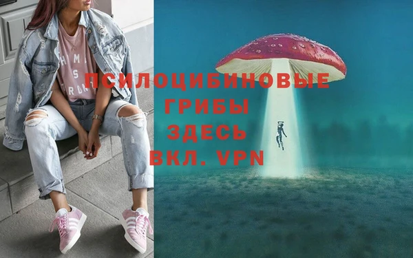 гидра Аркадак