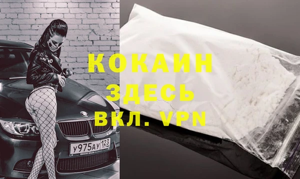 кокс Арсеньев