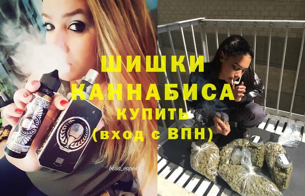 гидра Аркадак