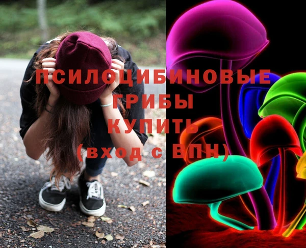 кокс Арсеньев