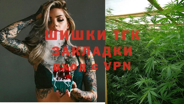 гидра Аркадак