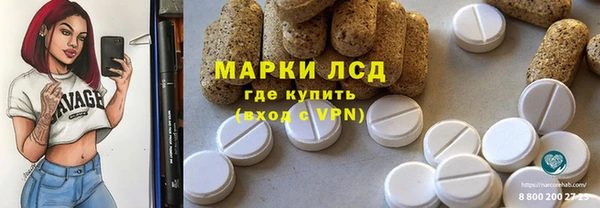 гидра Аркадак