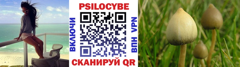 Галлюциногенные грибы мицелий Ахтубинск